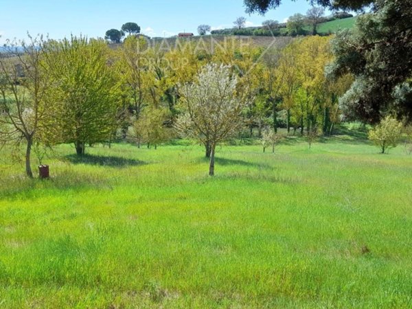 terreno agricolo in vendita a Marsciano in zona San Valentino della Collina