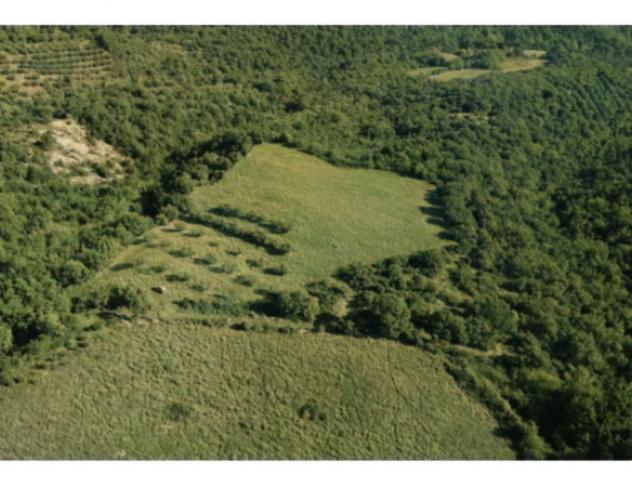terreno agricolo in vendita a Marsciano
