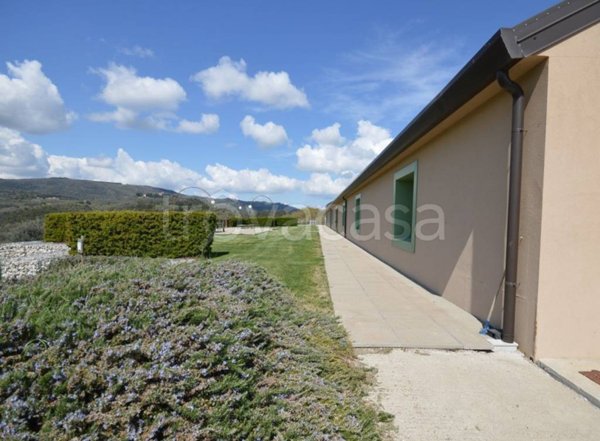 negozio in vendita a Marsciano