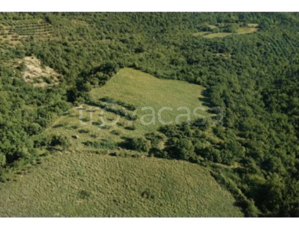 terreno agricolo in vendita a Marsciano