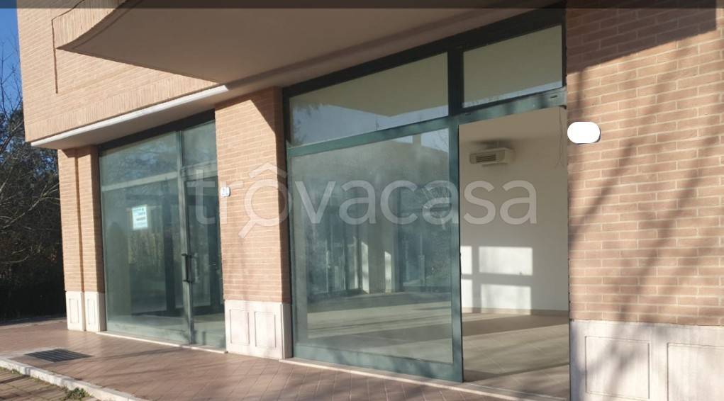 appartamento in vendita a Marsciano in zona Castiglione della Valle