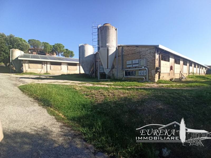 azienda agricola in vendita a Marsciano in zona Cerqueto