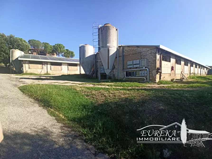 mansarda in vendita a Marsciano in zona Cerqueto