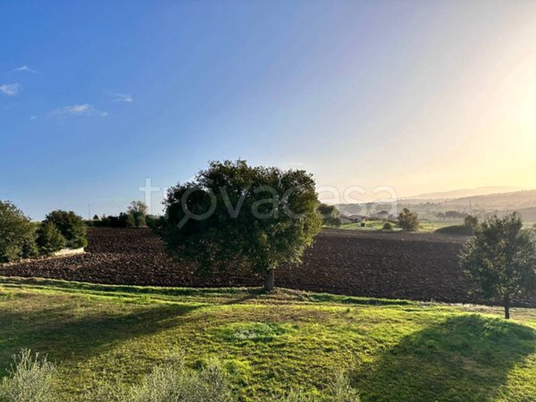 appartamento in vendita a Marsciano in zona San Biagio della Valle
