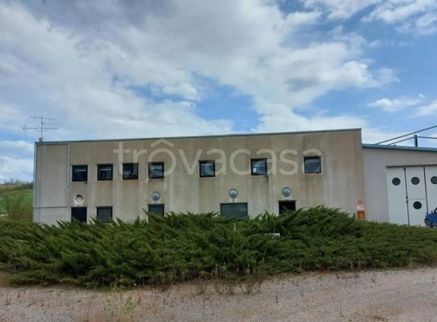 terreno edificabile in vendita a Marsciano in zona San Biagio della Valle