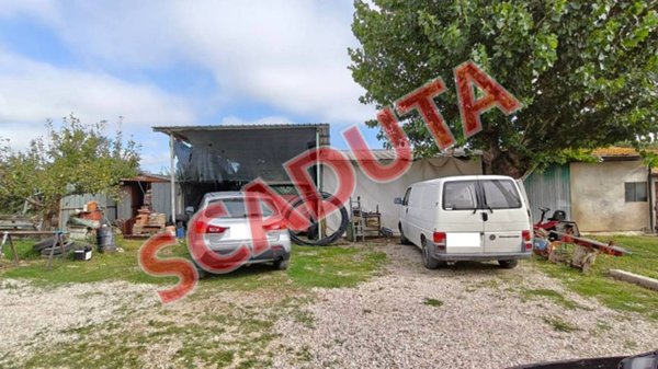 terreno agricolo in vendita a Marsciano