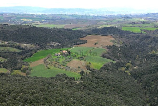 esavano in vendita a Marsciano