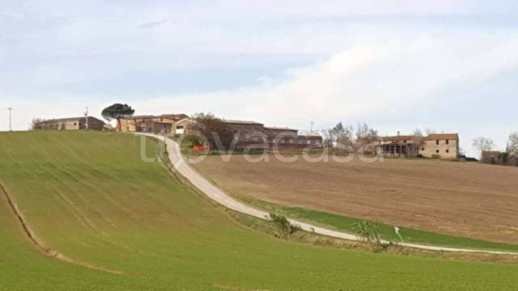 terreno agricolo in vendita a Marsciano in zona Villanova
