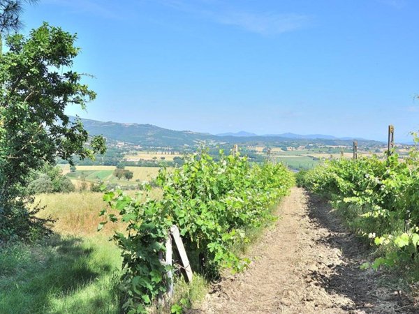 casa indipendente in vendita a Marsciano in zona Cerqueto