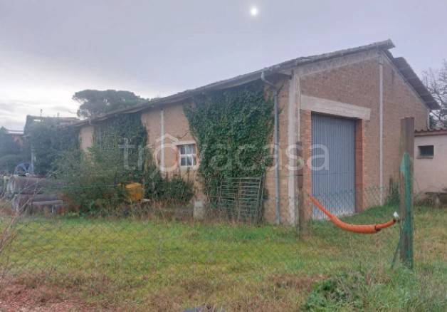 appartamento in vendita a Marsciano