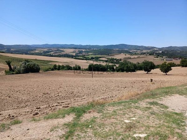 terreno agricolo in vendita a Marsciano
