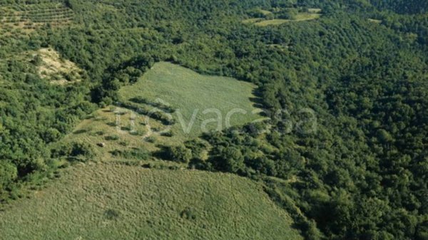 terreno agricolo in vendita a Marsciano