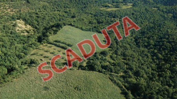 terreno agricolo in vendita a Marsciano