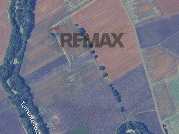 terreno agricolo in vendita a Marsciano