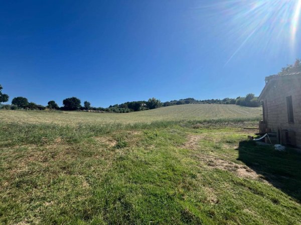 terreno agricolo in vendita a Marsciano