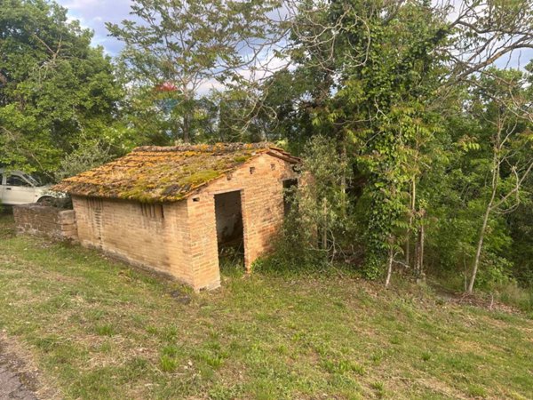 terreno agricolo in vendita a Marsciano in zona Migliano