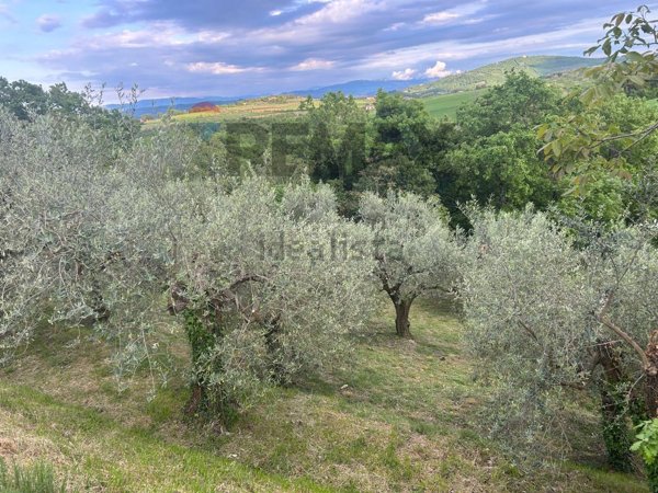 terreno agricolo in vendita a Marsciano in zona Migliano