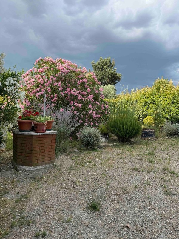 casa indipendente in vendita a Marsciano