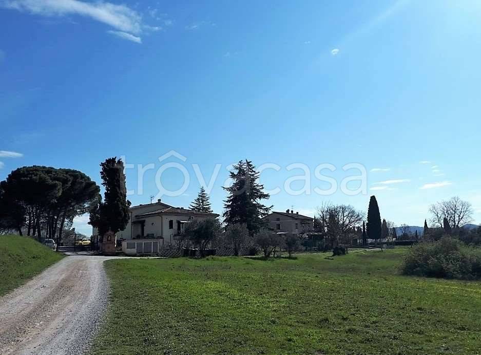 terreno in vendita a Marsciano