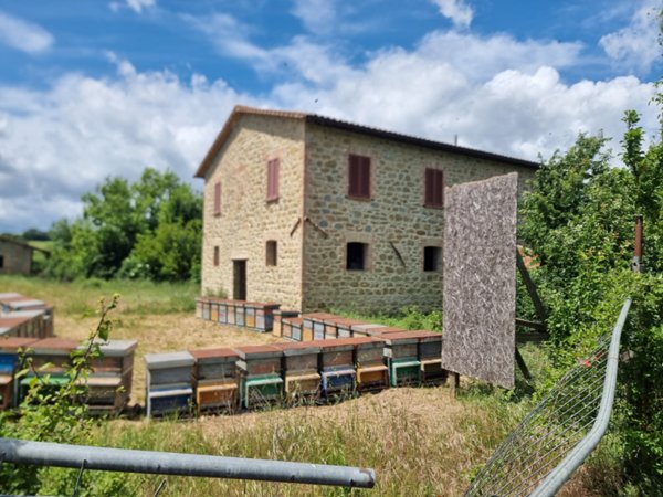 casa indipendente in vendita a Marsciano
