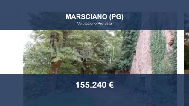 terreno agricolo in vendita a Marsciano
