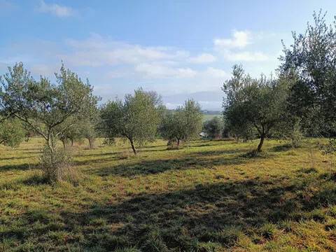 terreno in vendita a Marsciano in zona Cerqueto