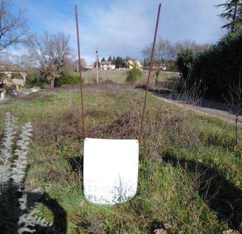terreno agricolo in vendita a Massa Martana