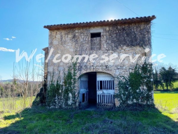 appartamento in vendita a Massa Martana