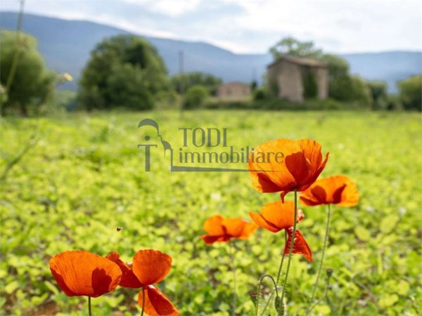 casa indipendente in vendita a Massa Martana