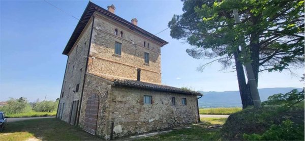 azienda agricola in vendita a Massa Martana