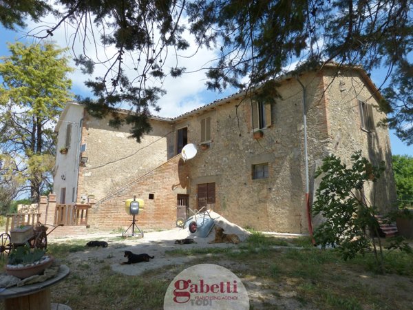 pentavano in vendita a Massa Martana