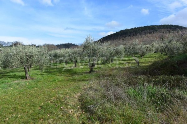 casa indipendente in vendita a Massa Martana