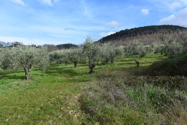 casale in vendita a Massa Martana