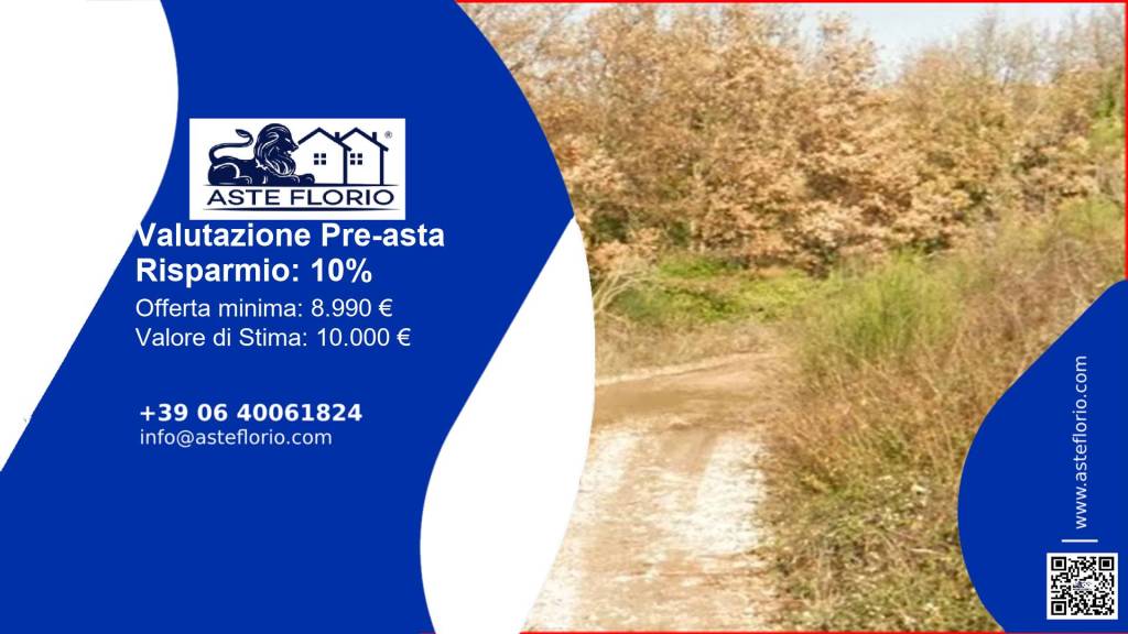 terreno agricolo in vendita a Massa Martana