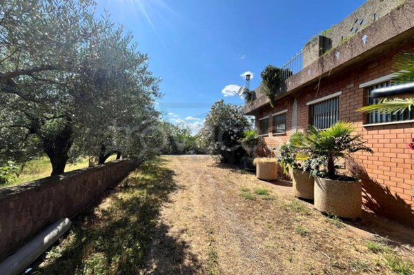 casa indipendente in vendita a Massa Martana