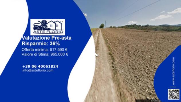 terreno agricolo in vendita a Massa Martana