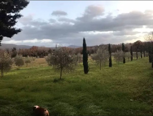 casale in vendita a Massa Martana