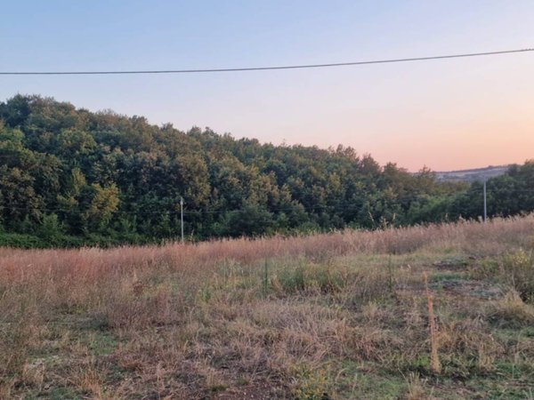 terreno agricolo in vendita a Massa Martana in zona Mezzanelli
