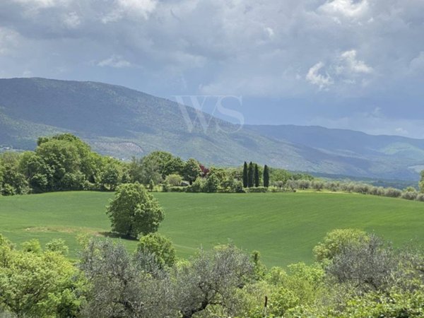 casa indipendente in vendita a Massa Martana