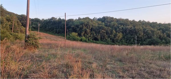 terreno agricolo in vendita a Massa Martana in zona Mezzanelli