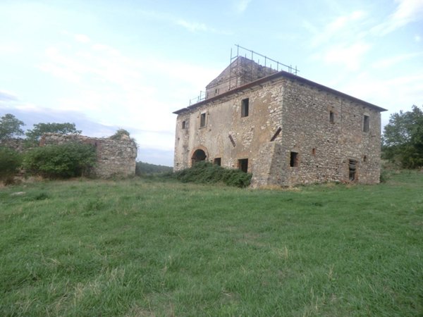 esavano in vendita a Massa Martana