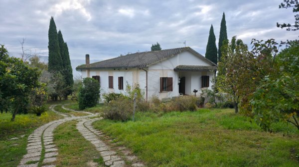 casa indipendente in vendita a Massa Martana