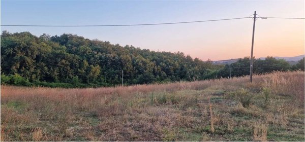 terreno agricolo in vendita a Massa Martana in zona Mezzanelli