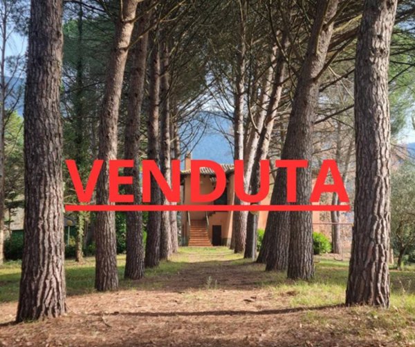 casa indipendente in vendita a Massa Martana in zona Colpetrazzo