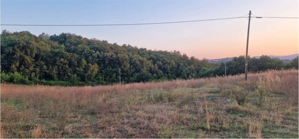 terreno agricolo in vendita a Massa Martana in zona Mezzanelli