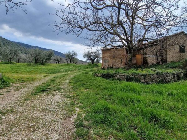 casa indipendente in vendita a Massa Martana