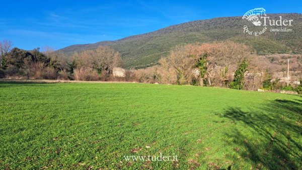 casa indipendente in vendita a Massa Martana in zona Colpetrazzo