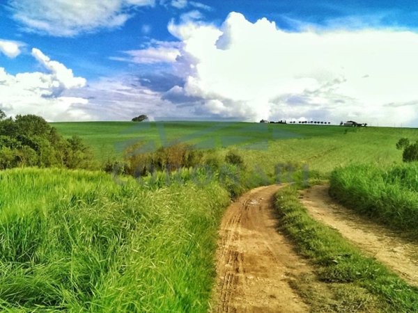 terreno agricolo in vendita a Massa Martana in zona Colpetrazzo