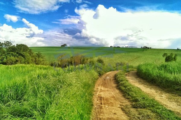 terreno agricolo in vendita a Massa Martana in zona Colpetrazzo