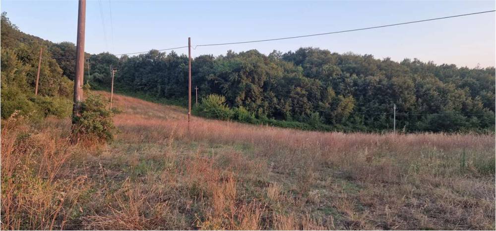 terreno agricolo in vendita a Massa Martana in zona Mezzanelli